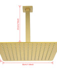 Lorton 12" Brushed Gold Rain Shower Head