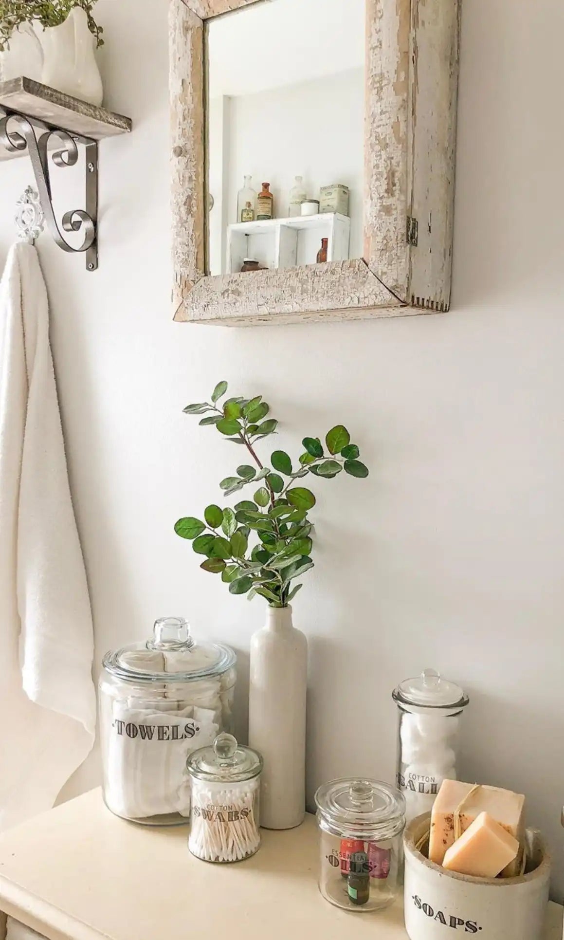 Collection Image