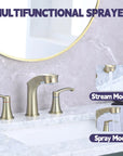 Harbor Series brushed gold faucet sprayer with multifunction stream and spray water flow