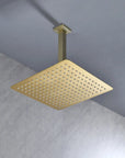 Lorton 12" Brushed Gold Rain Shower Head