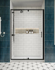 Pivot shower door front view, size 48 x 71 | Ace Decor