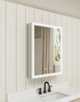 Front view of medicine cabinet mirror with lights off.
