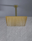 Lorton 12" Brushed Gold Rain Shower Head