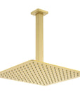 Lorton 12" Brushed Gold Rain Shower Head