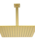 Lorton 12" brushed gold rain shower head