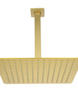 Lorton 12" brushed gold rain shower head