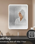 Rectangular Framed Dimmable Anti-Fog LED Wall Bathroom Vanity Mirror