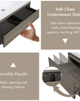 Oakmere Series 42" Ash Grey Bathroom Floating Vanity with Resin Sink & 2 Soft-Close Drawers
