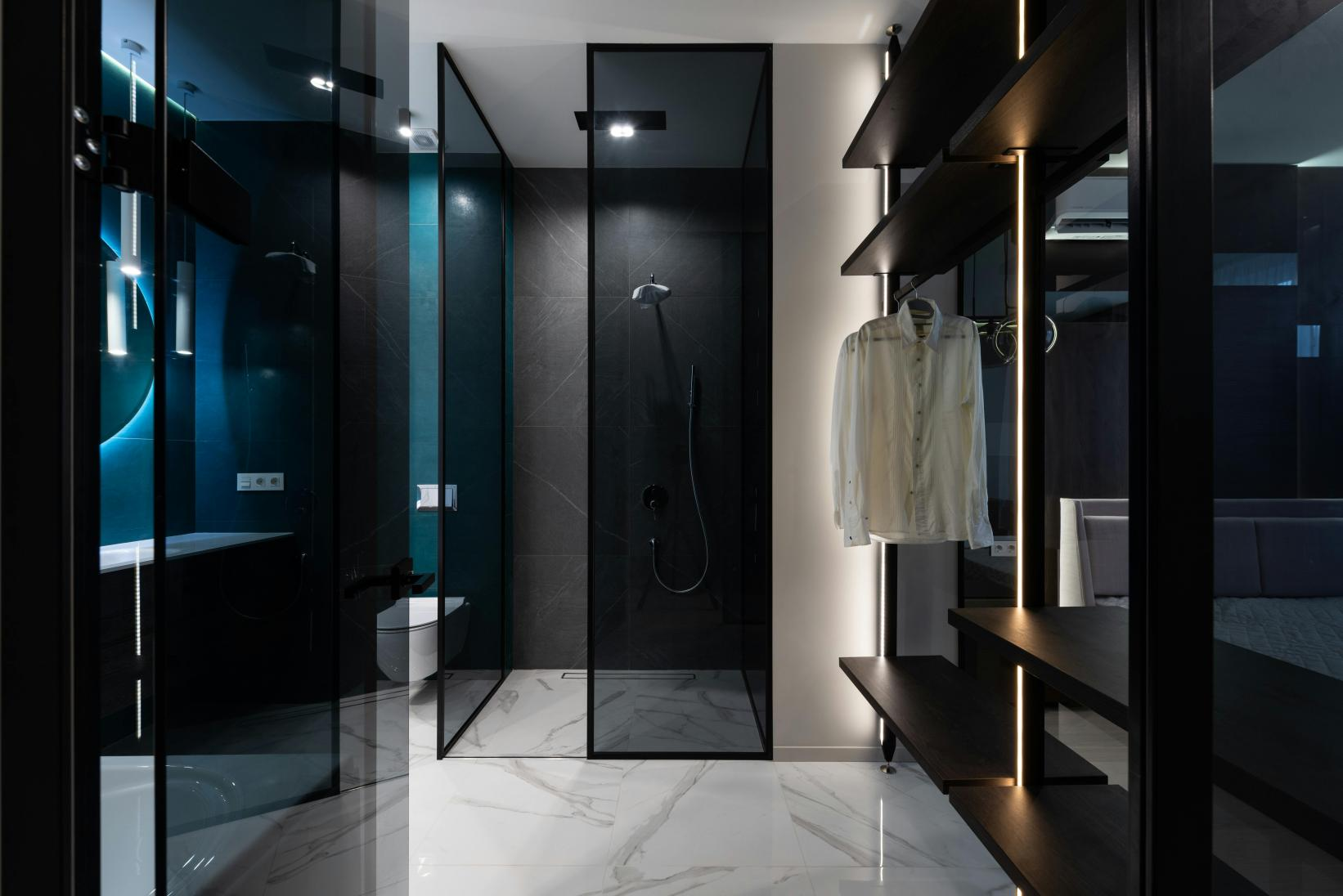 Tinted Glass shower door | ACE DECOR