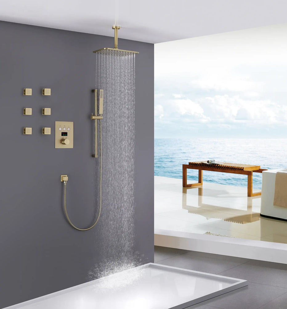 Thermostatic Shower System