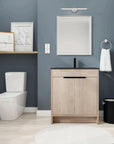 Freestanding Bathroom Vanity with Sink & 2 Soft-Close Doors color: Plain Light Oak