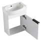 16" Soft-Close Bathroom Vanity with Sink – Ideal for Small Spaces color: Gloss White