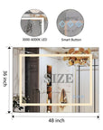 Glossy Brushed Silver LED Bathroom Mirror with Anti-Fog & Dimmable Lighting size: 48 X 36