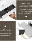 TerraLine Series 71" White Wall-mounted Bathroom Vanity – Double Sinks & 4 Soft-Close Drawers