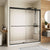 ACE DECOR Bypass Shower door color:Matte Black