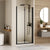 Frameless Bi Fold Shower Door color:matte black