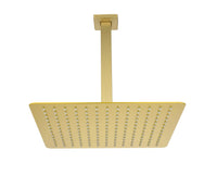 Lorton 12" brushed gold rain shower head